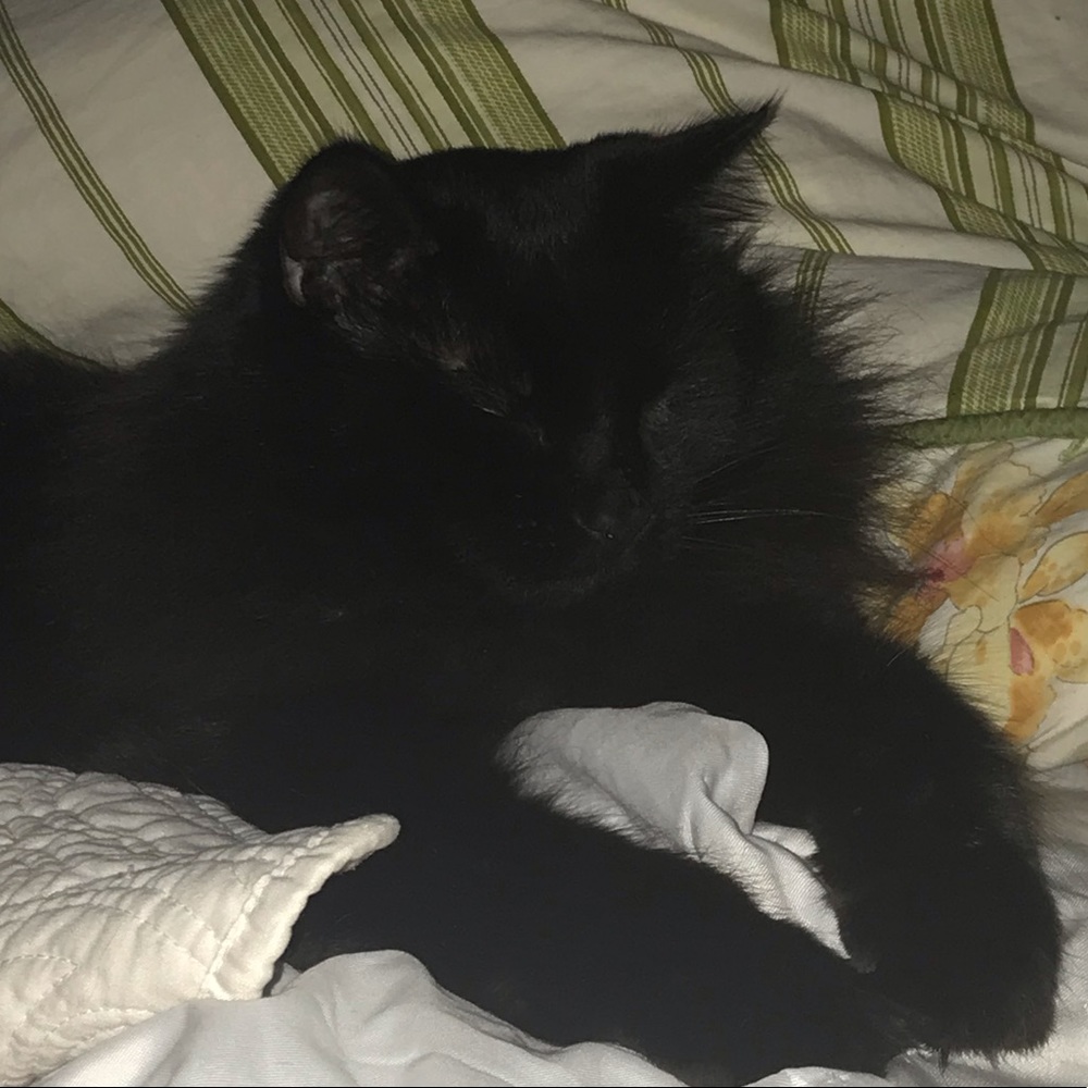 Meet your Posher, Aj